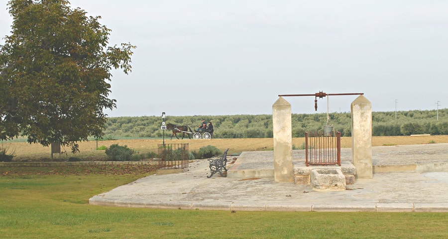 Museo dell’olio e del frantoio storico